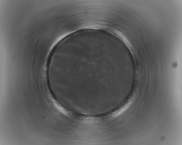 X0000097670779200803142154