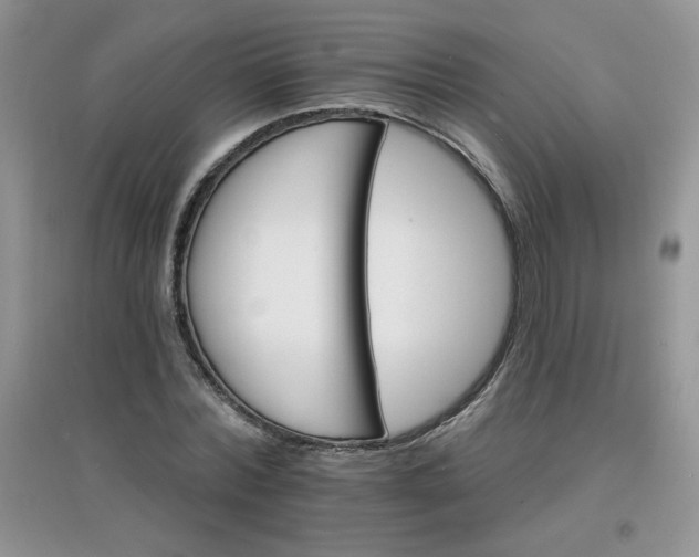 X0000097670780200803142153