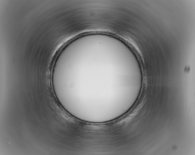 X0000097670781200803142153