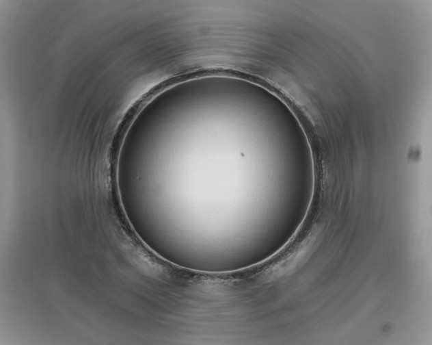 X0000097670782200803142153