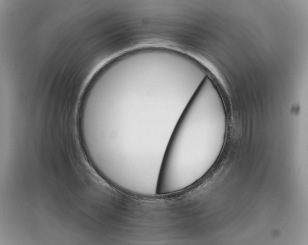 X0000097670783200803142153