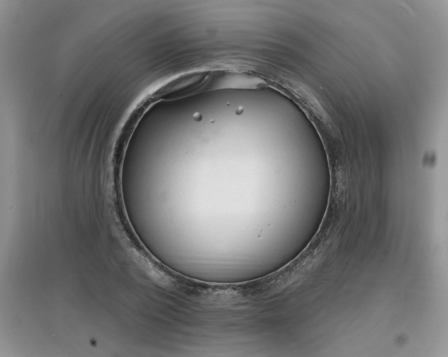 X0000097670784200803142153