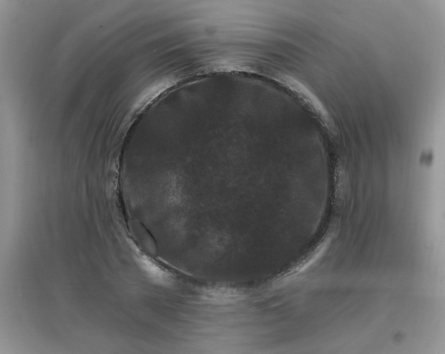 X0000097670785200803142153