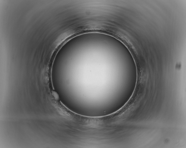 X0000097670786200803142153