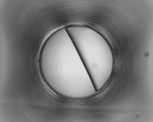 X0000097670787200803142153