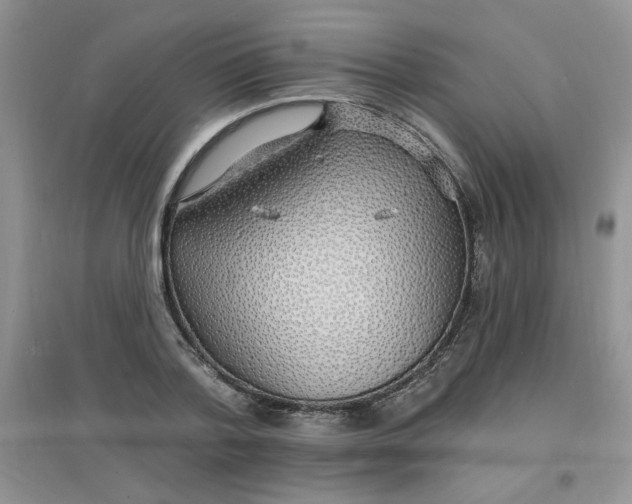 X0000097670788200803142153
