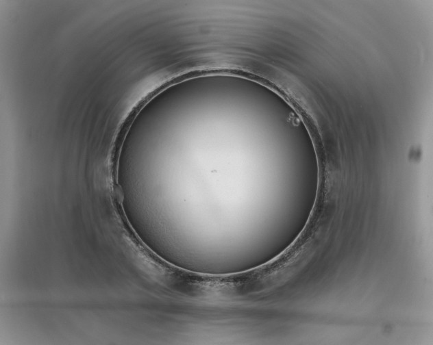 X0000097670789200803142153