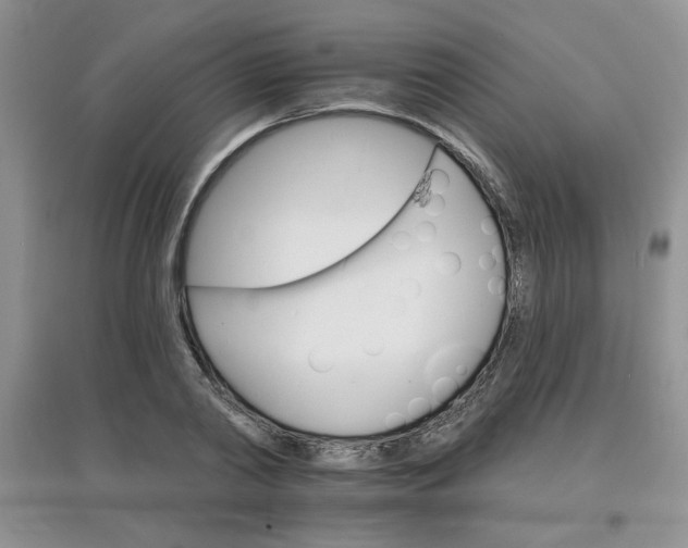 X0000097670790200803142153