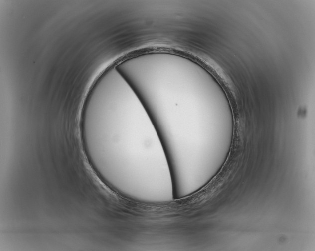 X0000097670791200803142153