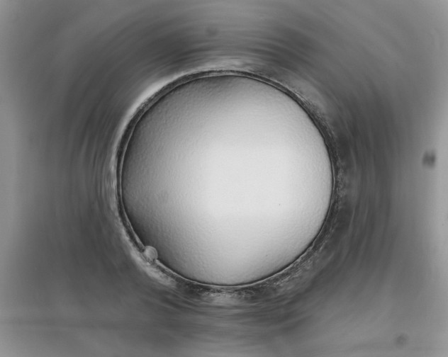 X0000097670792200803142153