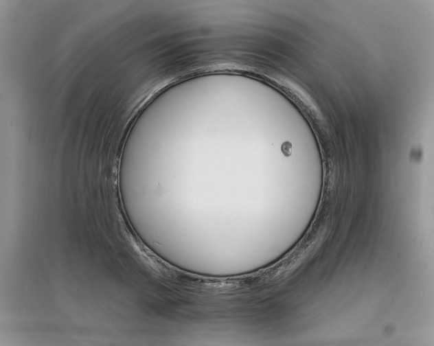 X0000097670793200803142153