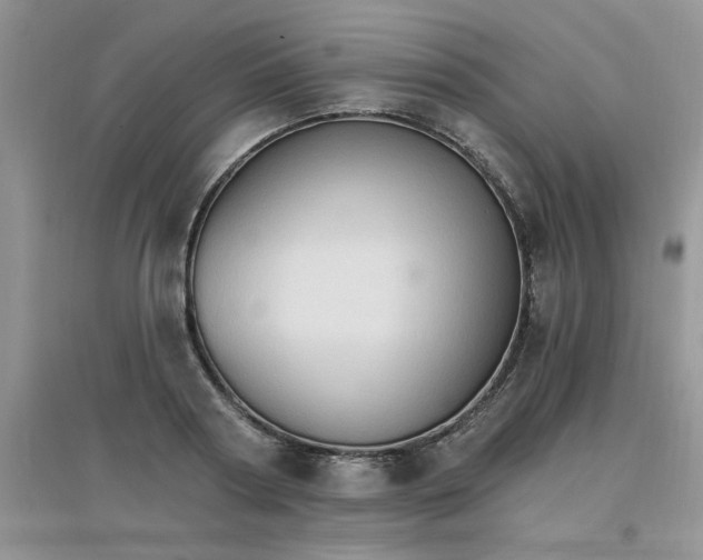 X0000097670794200803142153