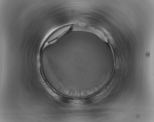 X0000097670796200803142153