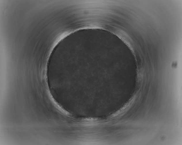 X0000097670797200803142153