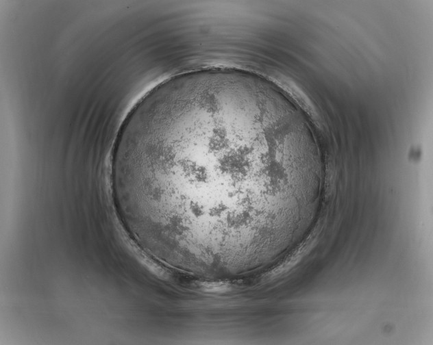 X0000097670798200803142153