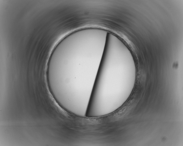 X0000097670799200803142153