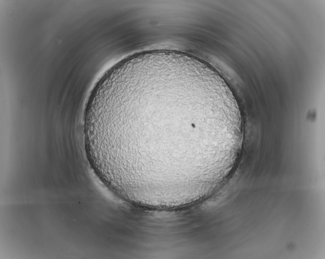 X0000097670800200803142153