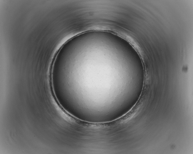 X0000097670803200803142153