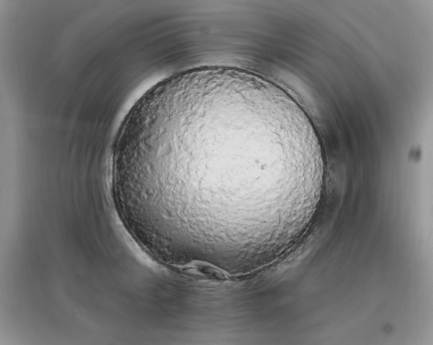X0000097670804200803142153
