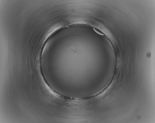 X0000097670806200803142153