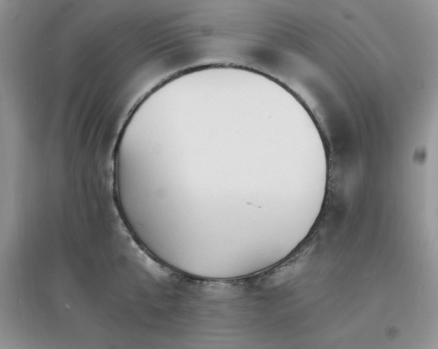 X0000097670807200803142153