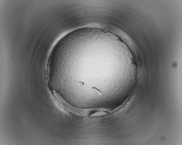 X0000097670808200803142153
