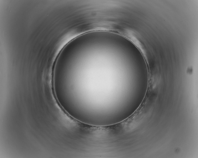 X0000097670811200803142153