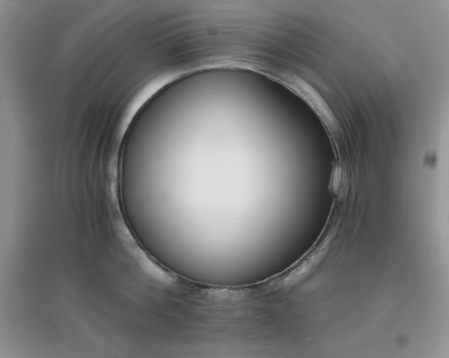 X0000097670812200803142153