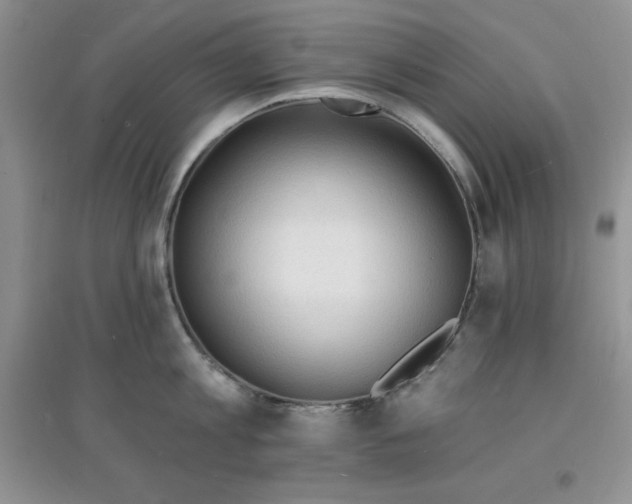 X0000097670813200803142153