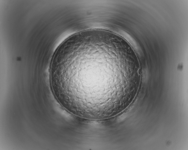 X0000097670814200803142153
