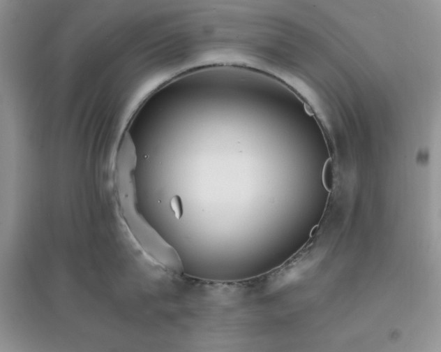 X0000097670815200803142153