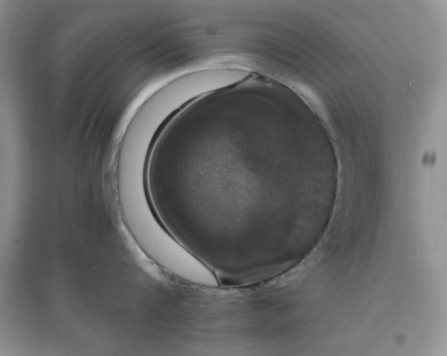 X0000097670816200803142153