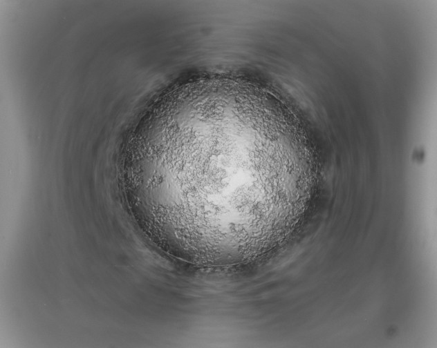 X0000097670817200803142152