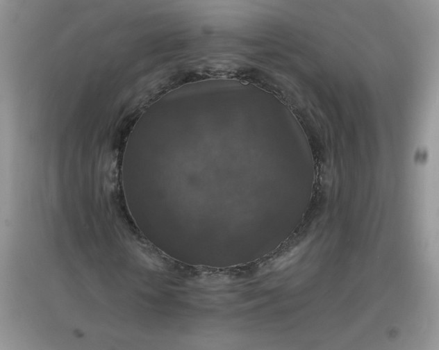 X0000097670818200803142152