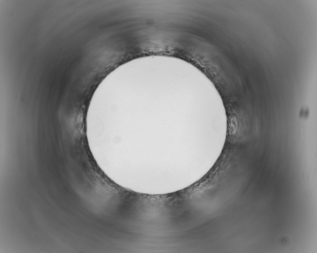 X0000097670820200803142152