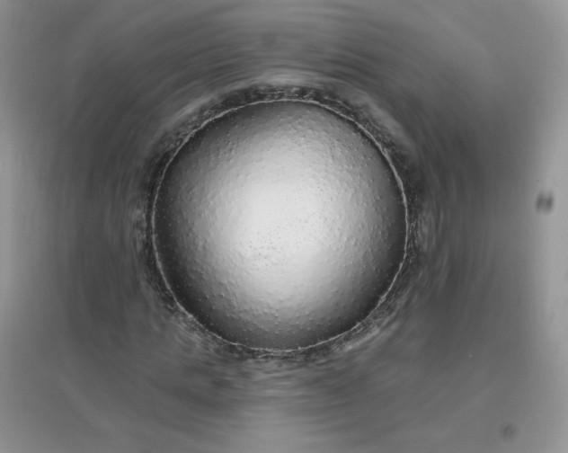 X0000097670821200803142152