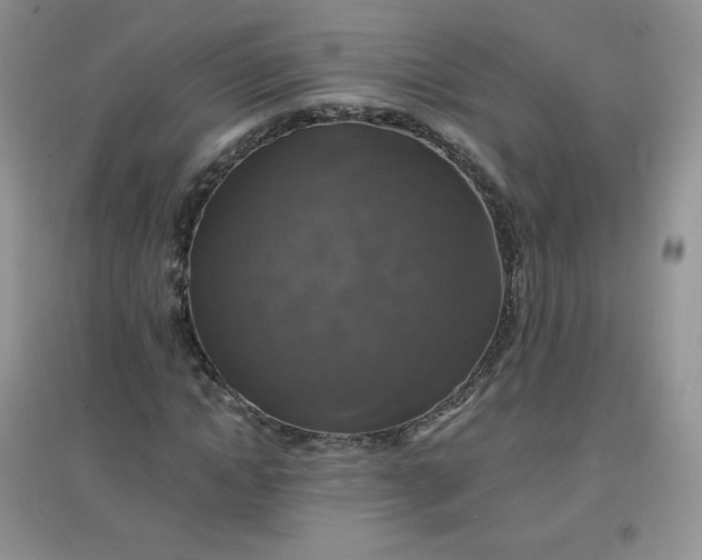 X0000097670822200803142152