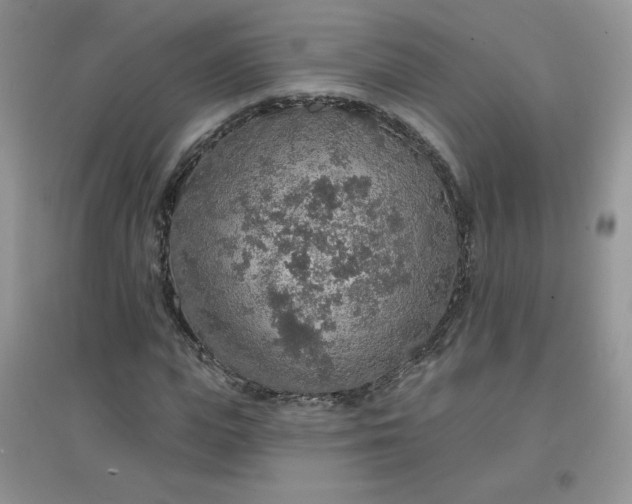 X0000097670823200803142152