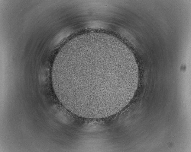 X0000097670824200803142152