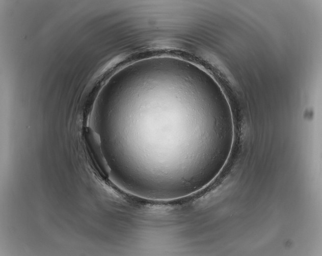 X0000097670825200803142152