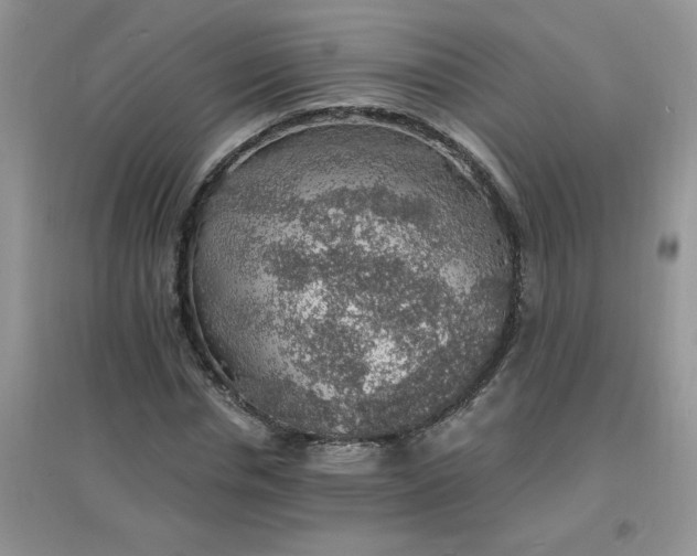 X0000097670826200803142152