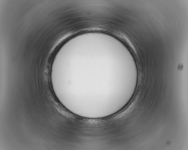 X0000097670827200803142152
