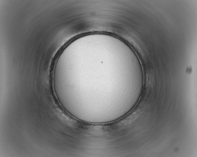X0000097670828200803142152