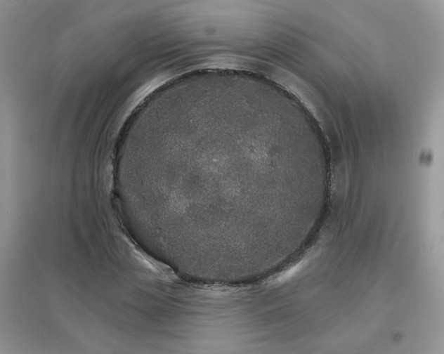 X0000097670829200803142153