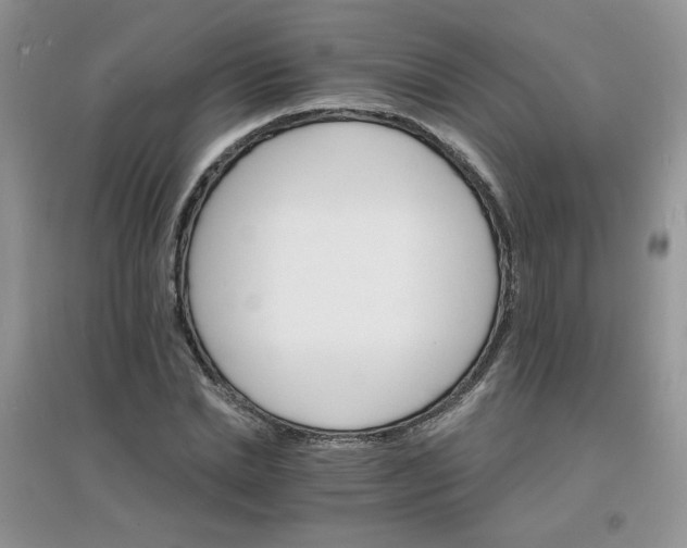 X0000097670830200803142153