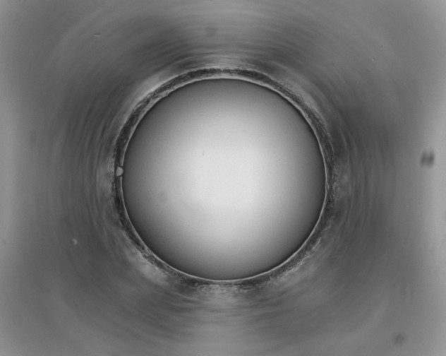 X0000097670831200803142153