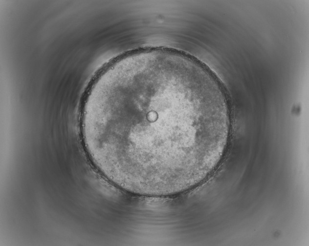 X0000097670832200803142153