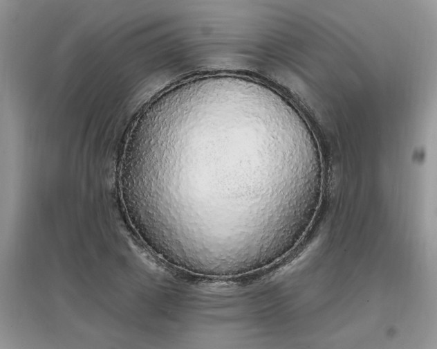 X0000097670833200803142153