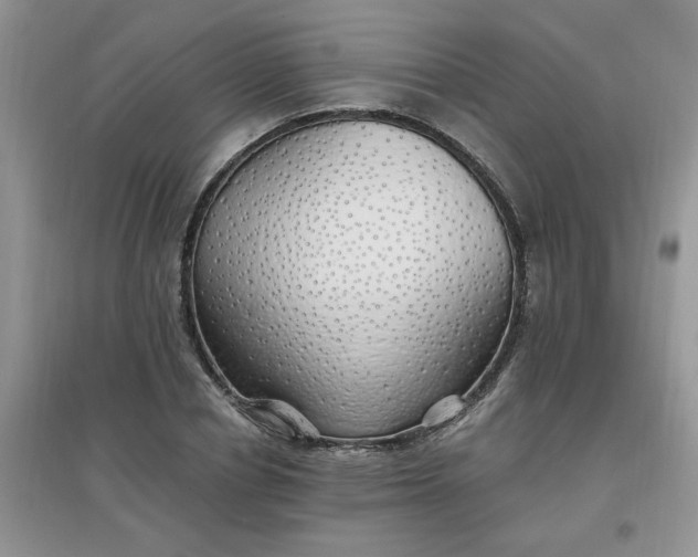 X0000097670834200803142153