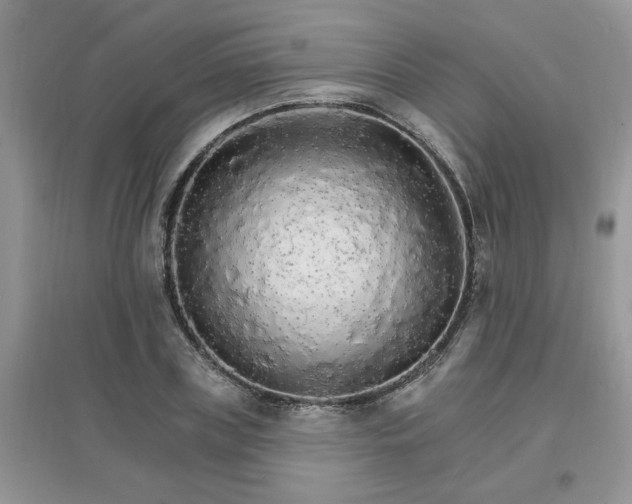 X0000097670835200803142153